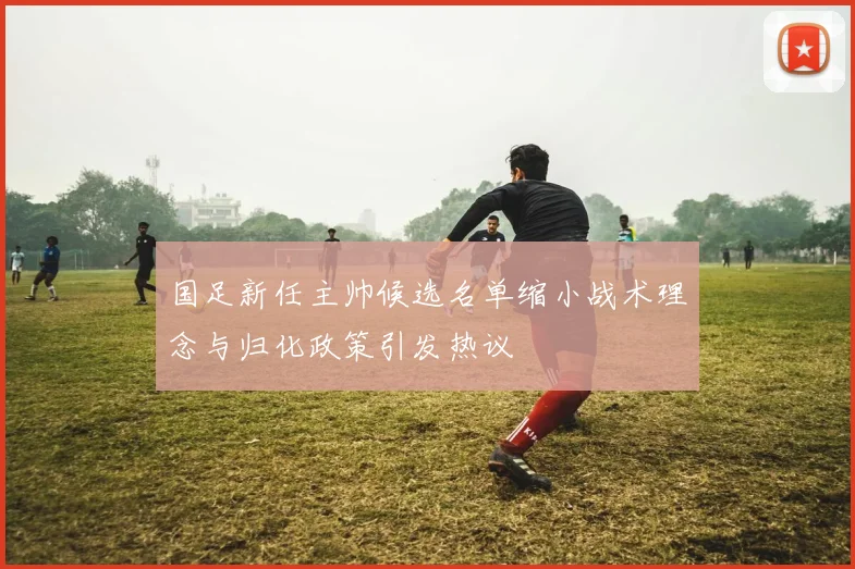 国足新任主帅候选名单缩小战术理念与归化政策引发热议