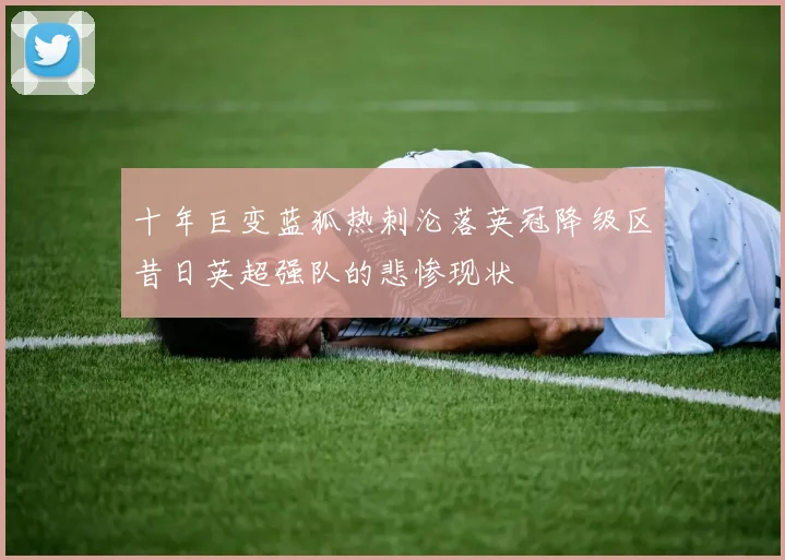 十年巨变蓝狐热刺沦落英冠降级区昔日英超强队的悲惨现状