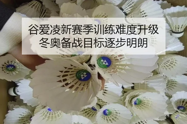 谷爱凌新赛季训练难度升级 冬奥备战目标逐步明朗